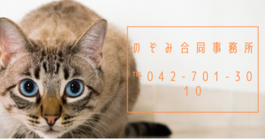 のぞみ合同事務所